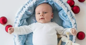 sy babynest